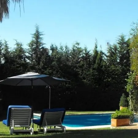 Private Villa In Marbella - Spain *